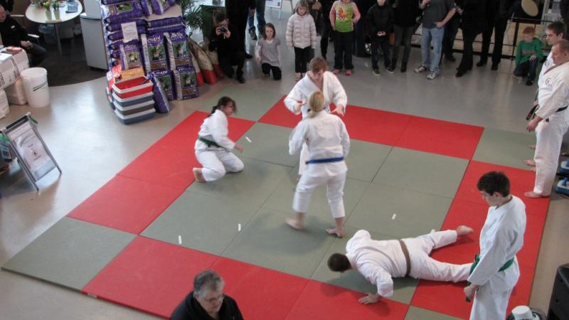29a_1024x576.JPG